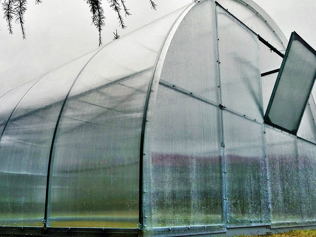 Sera policarbonat Maestro 5